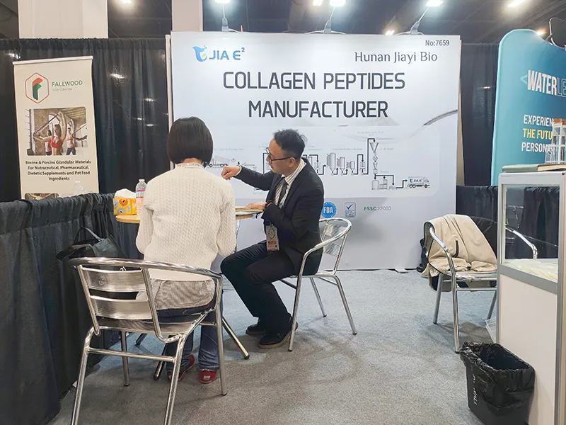 page-800-600 page-800-600